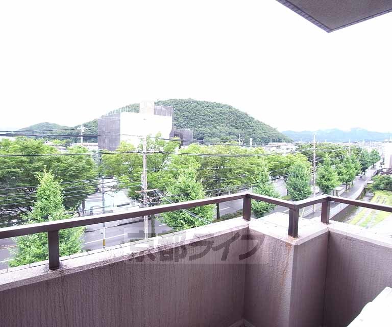 眺望　前面抜けていて日当たりいいです・