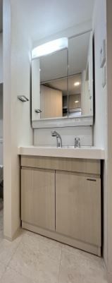 洗面設備　S-RESIDENCE板橋大山　板橋区熊野町