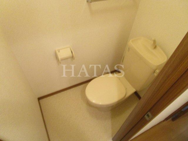 トイレ　同物件別部屋です。