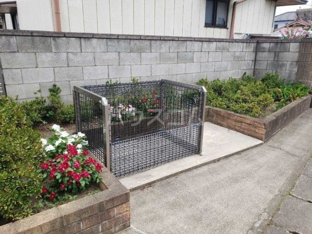 庭