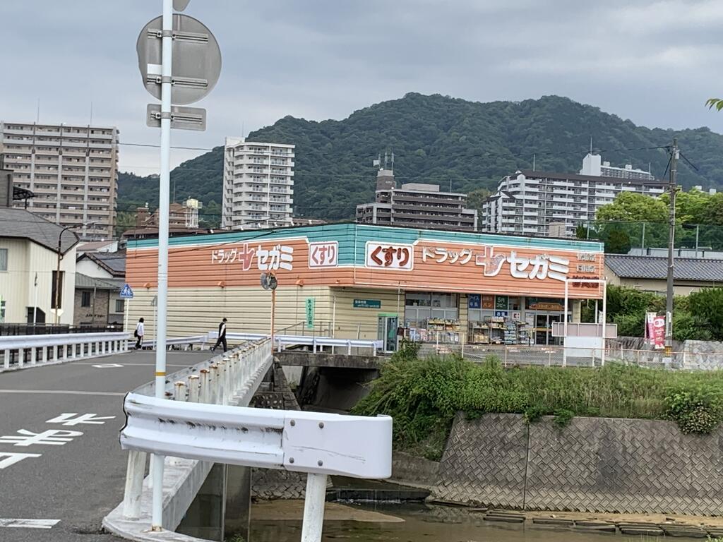 ドラックストア　ドラッグセガミ皆賀店（ドラッグストア）まで486m