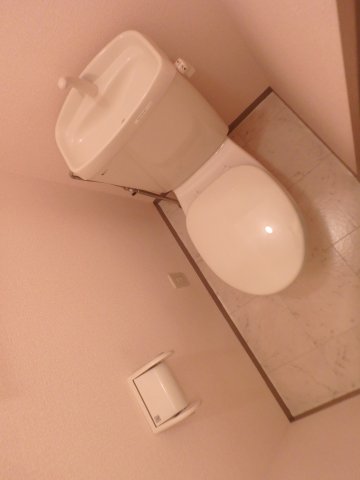 トイレ　トイレです