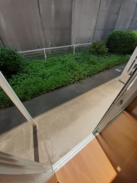 庭