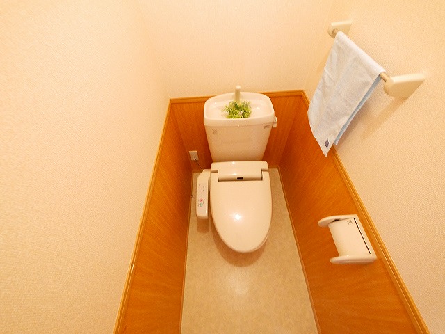 トイレ　トイレも気になるポイント