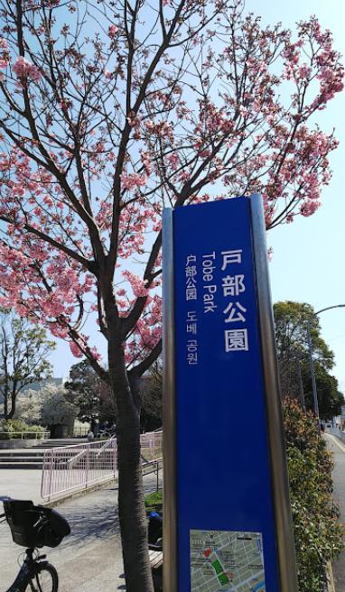 公園　戸部公園（公園）まで813m