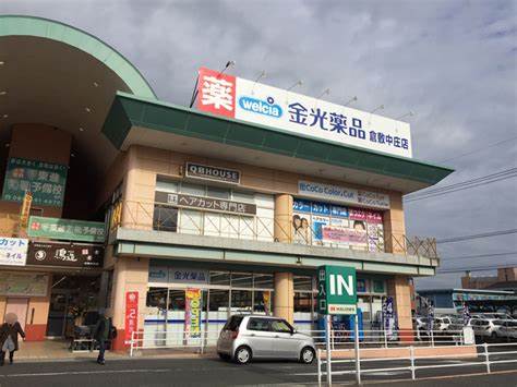 ドラックストア　金光薬品倉敷中庄（ドラッグストア）まで832m