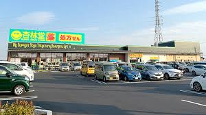 ドラックストア　杏林堂ドラッグストア 新大平台店（ドラッグストア）まで2009m