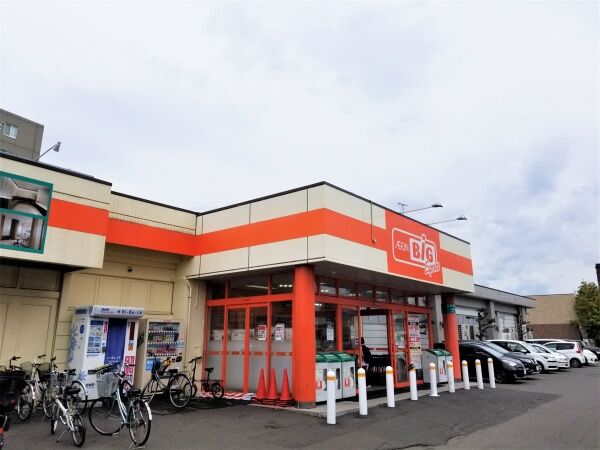 ショッピングセンター　ザ・ビッグエクスプレス平岸店（ショッピングセンター）まで962m