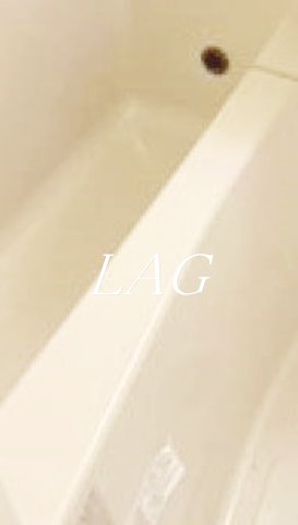 バス・シャワールーム　お風呂（同仕様）です。
