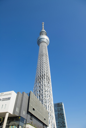 その他　東京スカイツリー（その他）まで519m