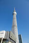 その他　東京スカイツリー（その他）まで519m