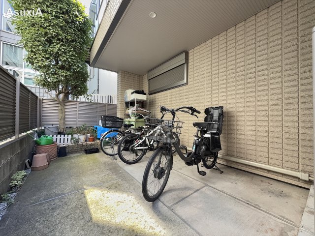 庭