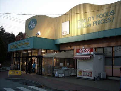 スーパー　ランドローム龍ヶ岡店（スーパー）まで255m