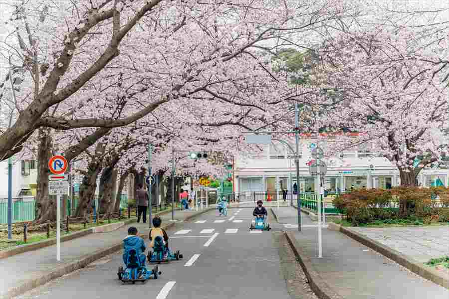 公園　横須賀市 根岸交通公園（公園）まで909m
