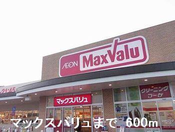 その他　マックスバリュまで600m