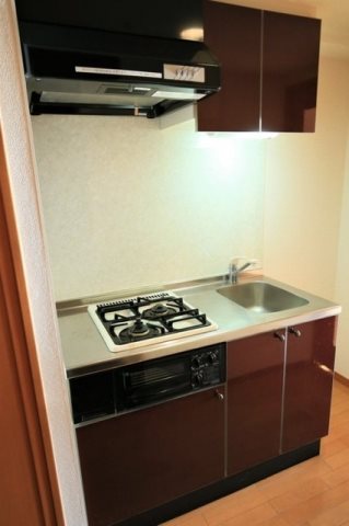 キッチン　★《見学予約受け付け中》設備充実のハイグレード賃貸マンショ