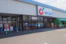 スコーピオン Bの周辺写真