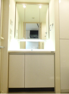 洗面設備　※別部屋の参考写真です。