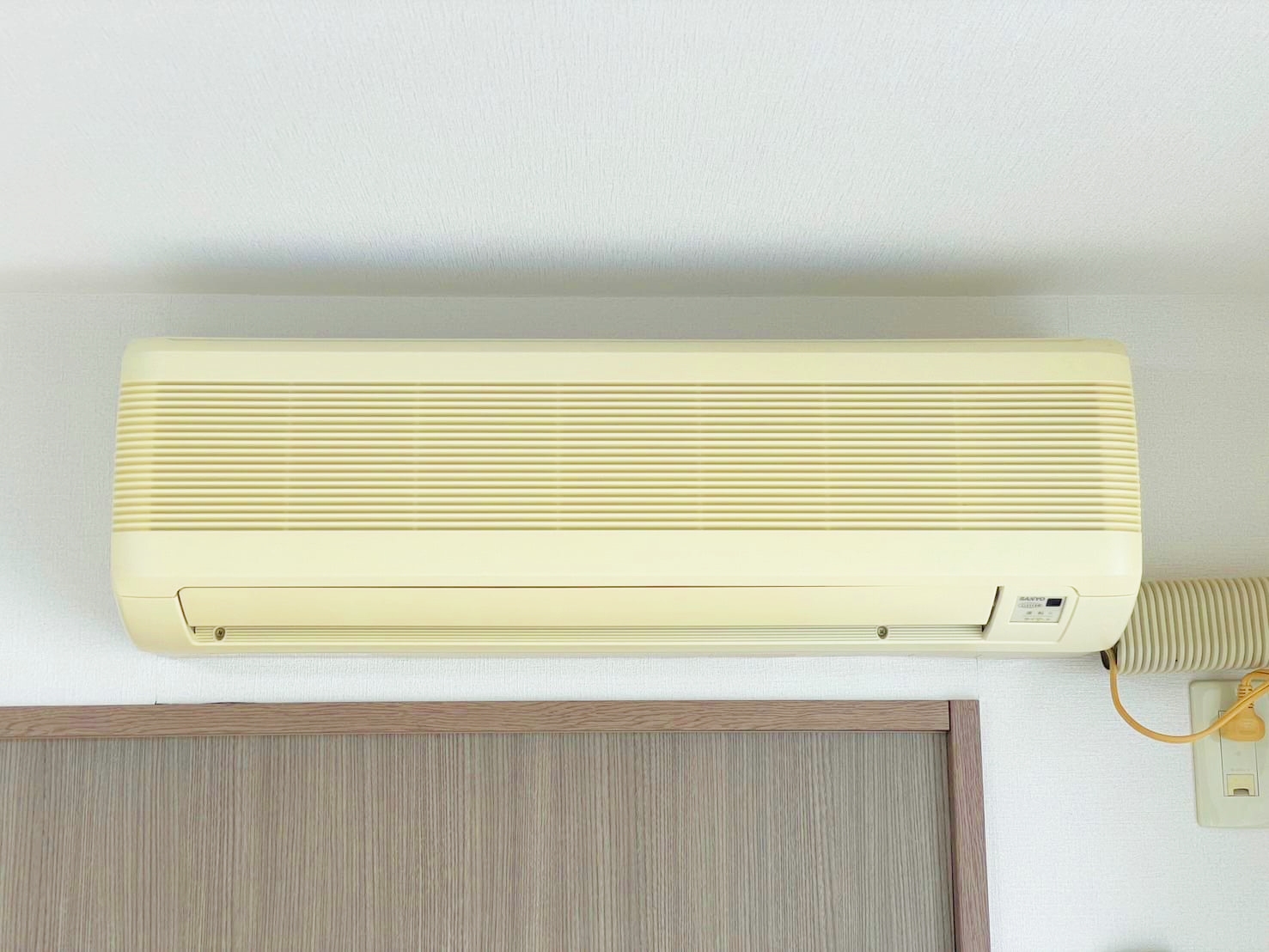 フォレスト中の島_その他_3