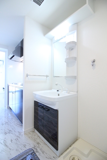 洗面設備　シャワー付き洗面台＾＾