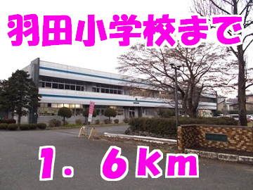 小学校　羽田小学校（小学校）まで1600m