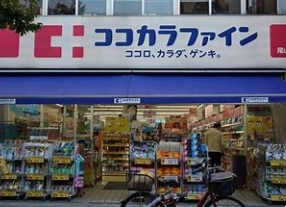 ドラックストア　ココカラファイン尾山台店（ドラッグストア）まで655m