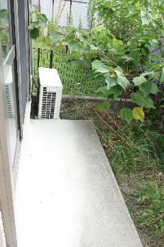 庭　庭