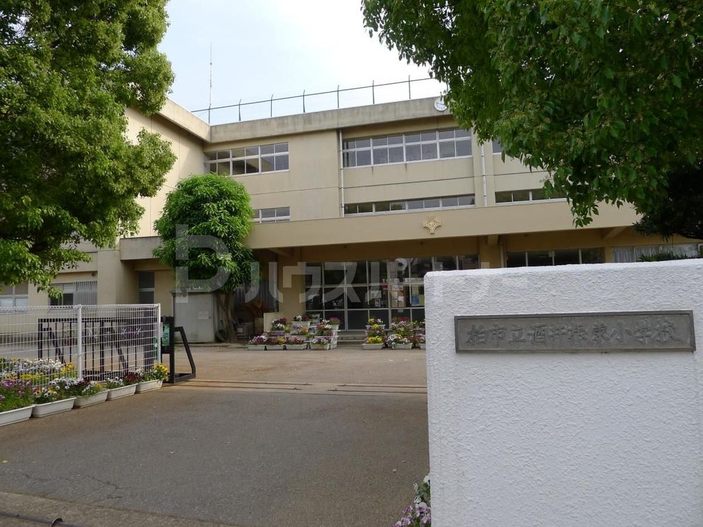 小学校　柏市立酒井根東小学校（小学校）まで790m