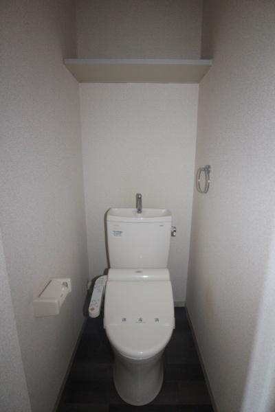 メゾン・ド・フロ-ラのトイレ写真