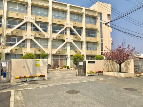 小学校　松原市立天美南小学校（小学校）まで241m
