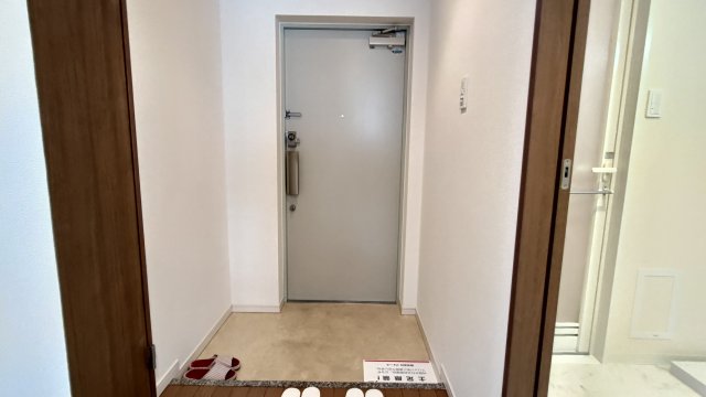 阪急京都線 高槻市駅 徒歩20分 3階建 築16年の玄関写真