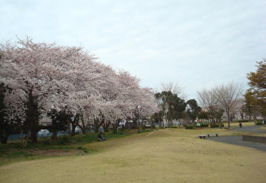 その他　船越公園（その他）まで916m