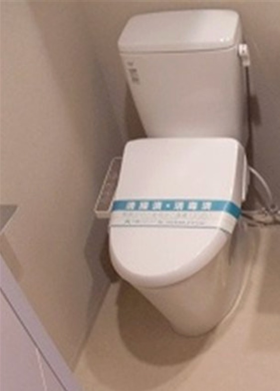 レアライズ新丸子のトイレ写真