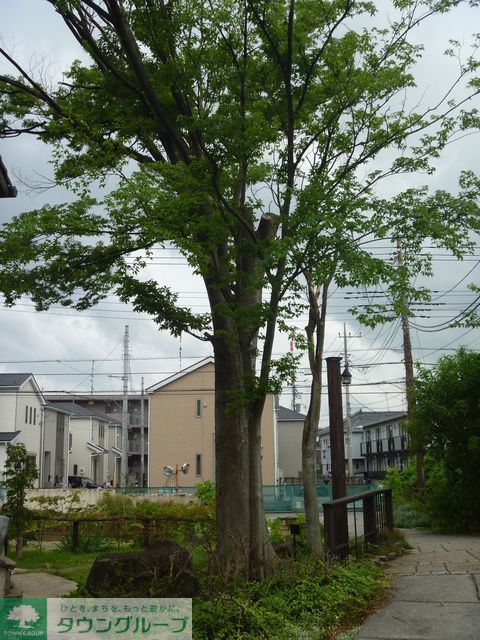 庭