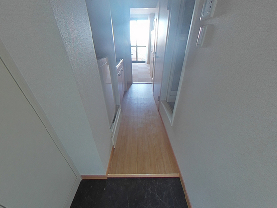 玄関　※別号室の写真です