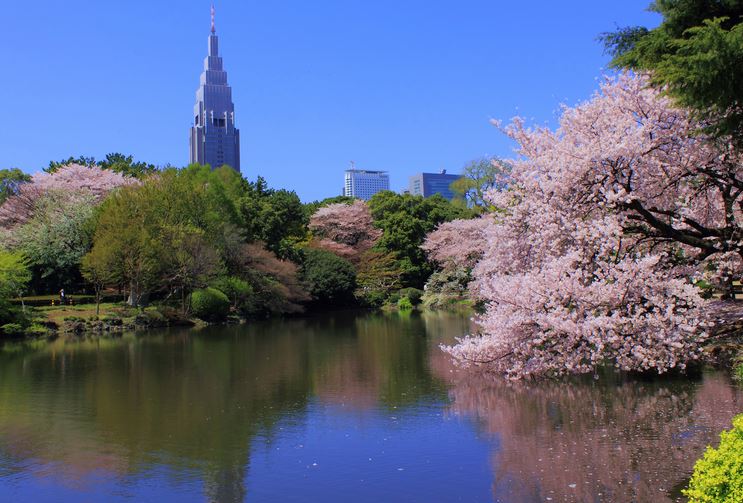 【レジディア新宿イーストIIの公園】