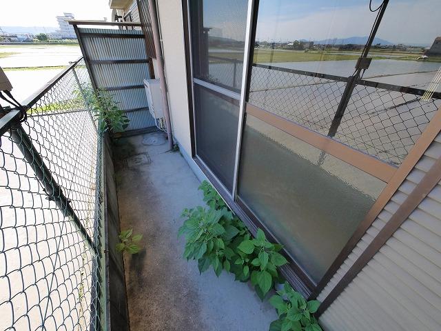 庭　たまにはお庭で休日を過ごしてみるのもよいかもしれません