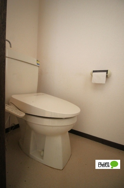 トイレ　Ａ２０１号になります