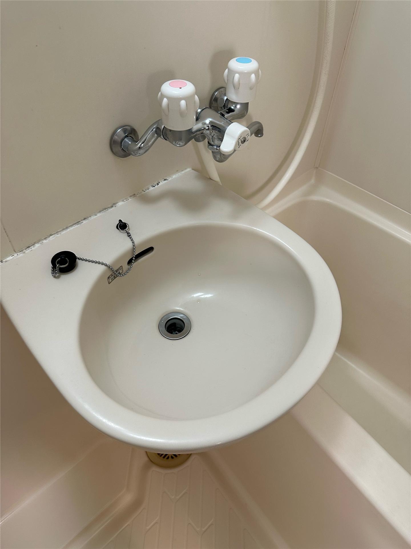 洗面設備　隣の102号の画像になります