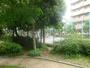 公園　小関公園（公園）まで242m