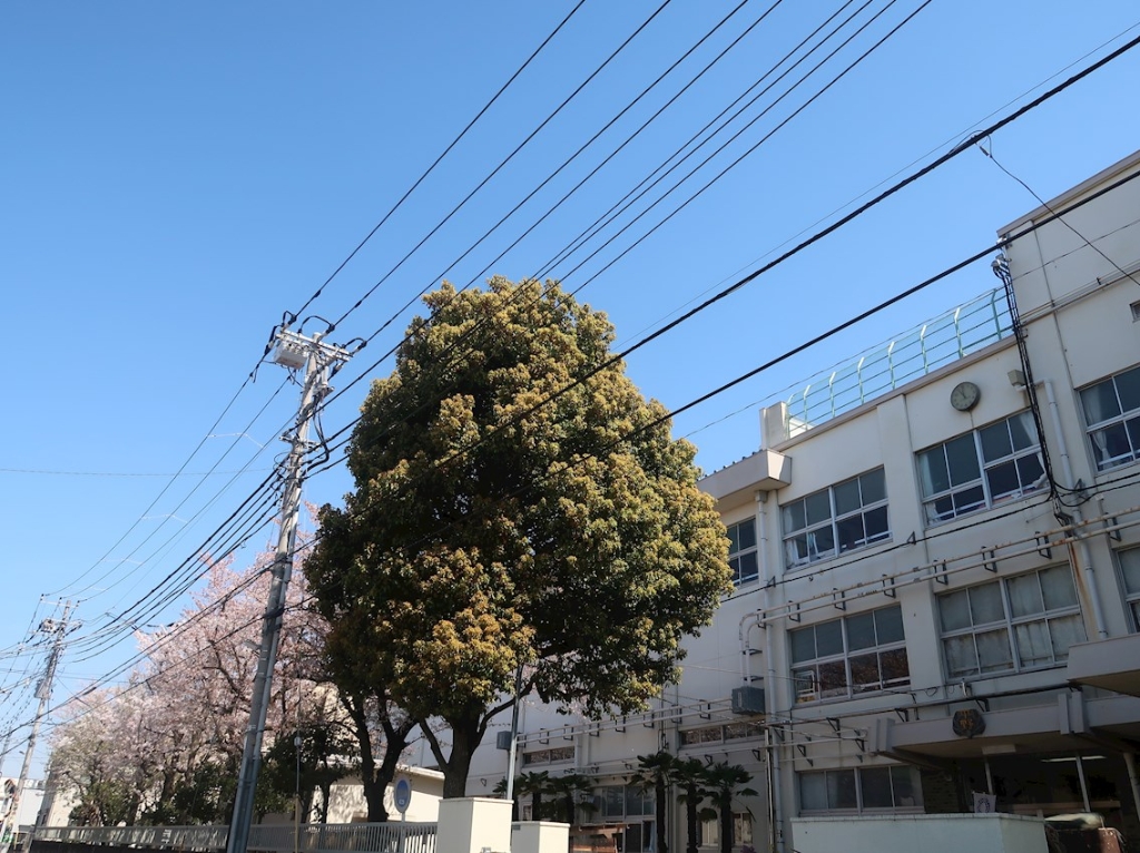 小学校　足立区立平野小学校（小学校）まで444m