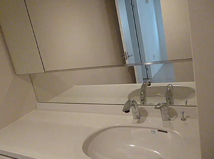 洗面設備　参考写真