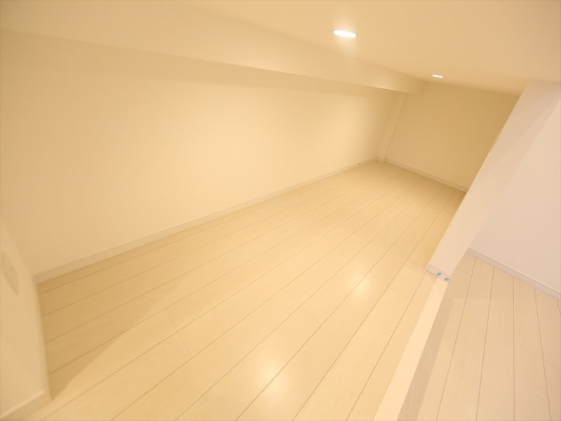 その他部屋・スペース　アンダーロフト6.2帖（収納でもお部屋でも使えます）