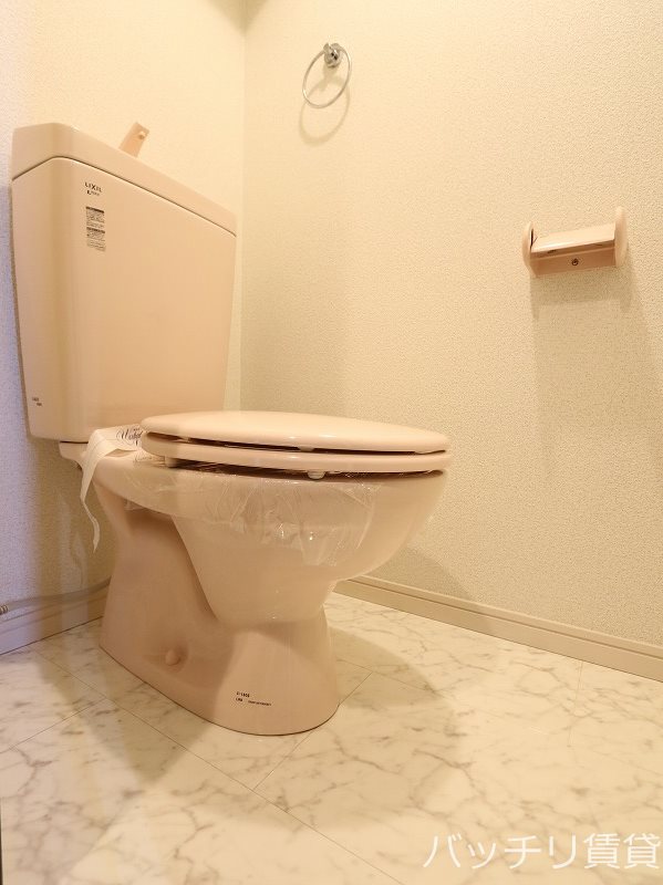 トイレ　同型タイプの為現状優先