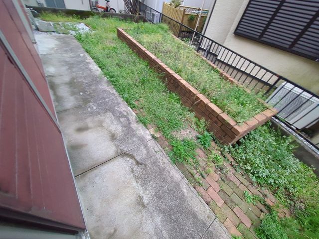 庭