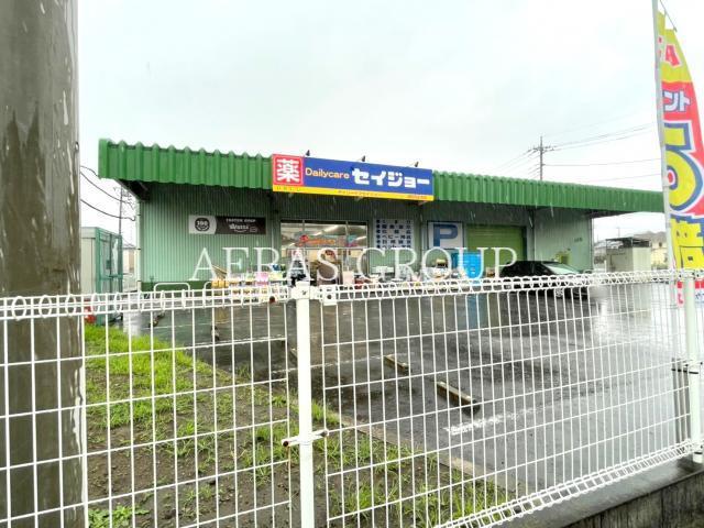 ドラックストア　デイリーケアセイジョー浦和円正寺店（ドラッグストア）まで538m