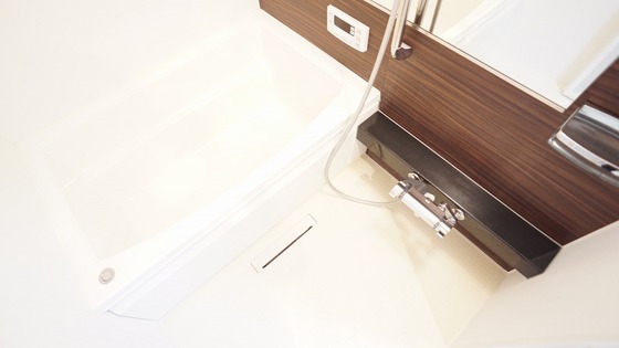 バス・シャワールーム　※別号室のお写真となります※現況優先