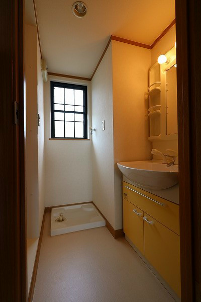 洗面設備　シャワー付洗面化粧台、室内洗濯機パンのある洗面所