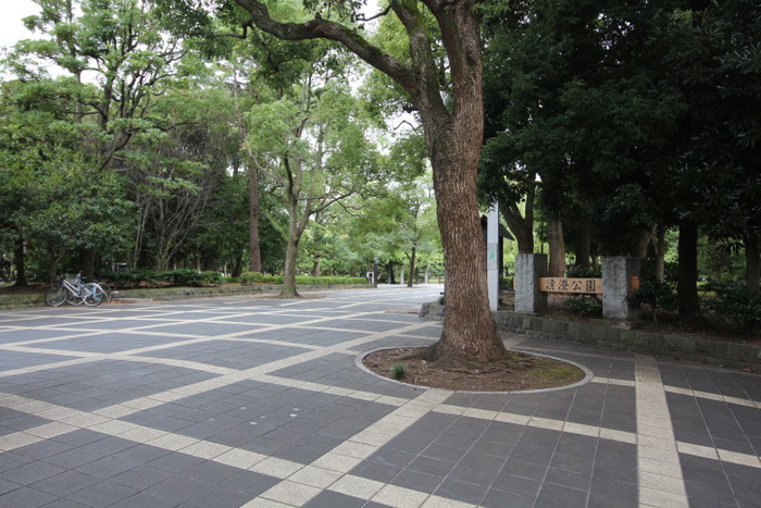 公園　清澄公園（公園）まで20m