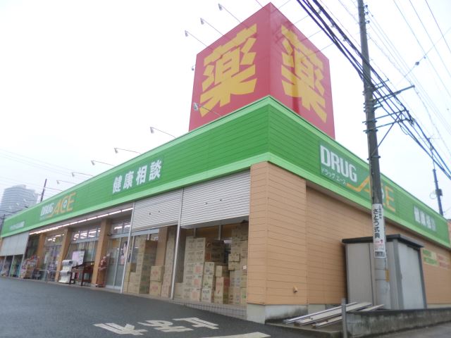 その他　ドラッグエース（その他）まで200m